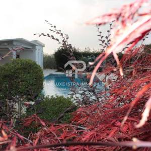 Luksuzna vila s bazenom u okolici Poreča s pogledom na more