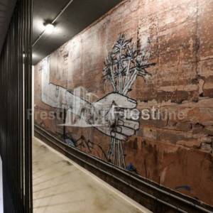 LUKSUZNA VILLA S 13 SOBA+BAZEN