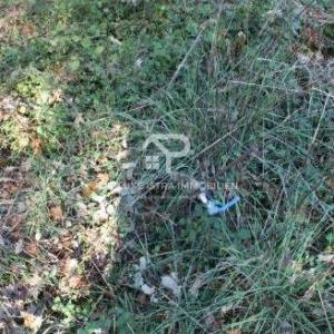 Malo poljoprivredno zemljište 502m2 kod Ližnjana 