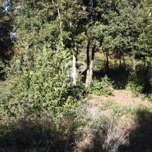 Malo poljoprivredno zemljište 502m2 kod Ližnjana 