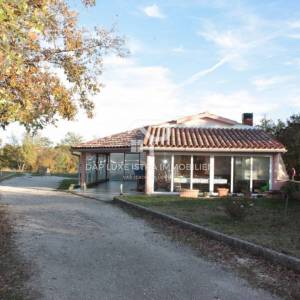 Marčana Istra Prizemnica s garažom na imanju od 26 000m2