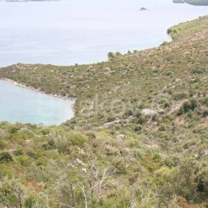 Marina,Vinišće,poljoprivredno zemljište.