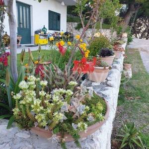 Marušići, apartmanska kuća 