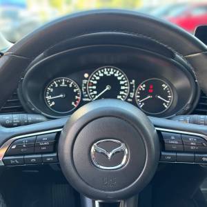 Mazda CX-30 2.0 e-x 186ps 6MT Nagisa