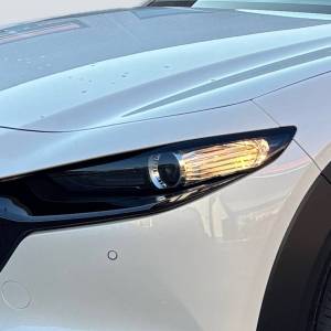 Mazda CX-30 2.0 e-x 186ps 6MT Nagisa