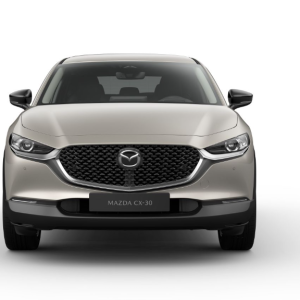 Mazda CX-30 5WGN 2.5 e-SKYACTIV G 140PS 6AT FWD HOMURA
