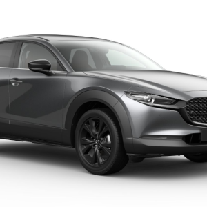 Mazda CX-30 5WGN 2.5L e-SKYACTIV G 140ps 6MT FWD NAGISA