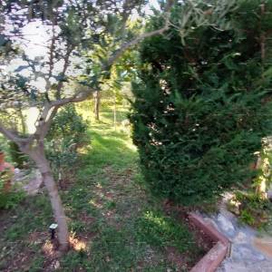 MEDULIN – AUTENTIČNA ISTARSKA KUĆA (KAŽUN) SA VRTOM, 600 M OD MORA