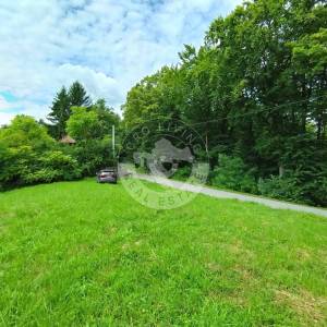 Moslavina, Popovača, poljoprivredno zemljište i šuma, 21000 m2