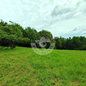 Moslavina, Popovača, poljoprivredno zemljište i šuma, 21000 m2