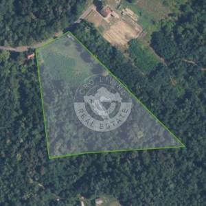 Moslavina, Popovača, poljoprivredno zemljište i šuma, 21000 m2
