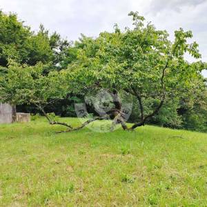 Moslavina, Popovača, poljoprivredno zemljište i šuma, 21000 m2