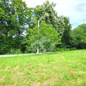 Moslavina, Popovača, poljoprivredno zemljište i šuma, 21000 m2