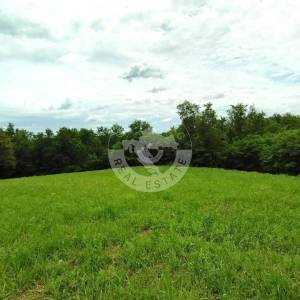 Moslavina, Popovača, poljoprivredno zemljište i šuma, 21000 m2