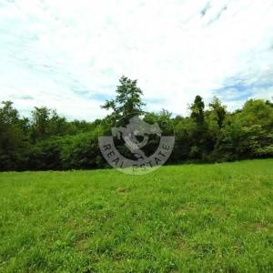 Moslavina, Popovača, poljoprivredno zemljište i šuma, 21000 m2