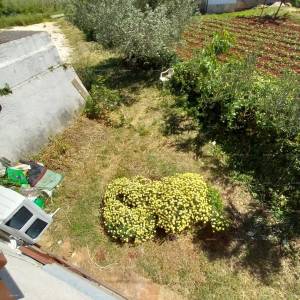 Na prodaju: šarmantna istarska kuća s prostranim dvorištem – Valtura