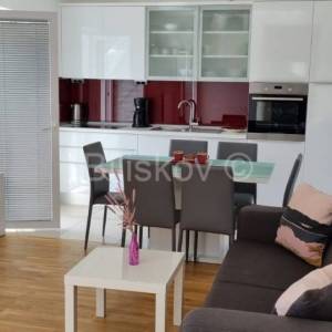 Najam do sezone Strožanac 1 soba osiguran parking