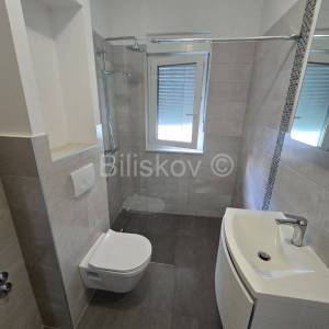 Najam, K.Novi, jednosoban stan, 1.iznajmljivanje