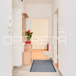 Najam, Stan, Knežija, Braće Cvijića, 2s, 60m2