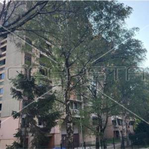 Najam, Ulični lokal, Pešćenica, Sachsova , 174m2