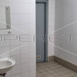 Najam, Ured, Kvatrić, Martićeva, 15m2