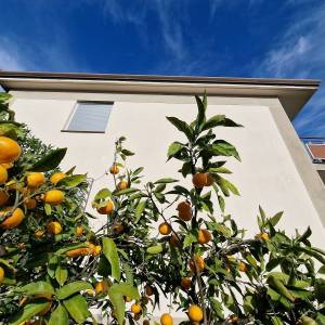 Najam:Opatija-Ičići,2-sobni stan na prvom katu kuće,104m2,200m od mora