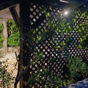 Novalja, apartman, visoko prizemlje 62m2+kućni vrt, 150m do plaže