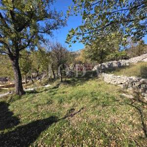 NOVI VINODOLSKI, zaleđe, dvije kuće sa velikom okućnicom