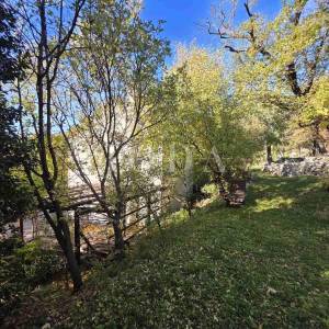 NOVI VINODOLSKI, zaleđe, dvije kuće sa velikom okućnicom