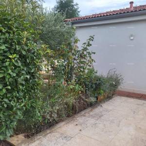 Novigrad, prizemnica s bazenom