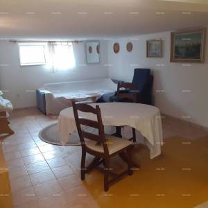 NOVIGRAD - Prodaja dva stana u obiteljskoj kući