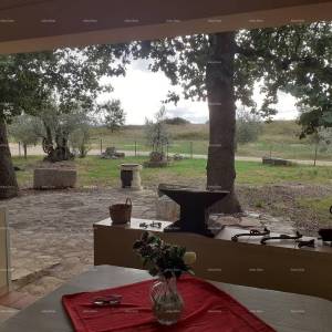 NOVIGRAD - Prodaja dva stana u obiteljskoj kući