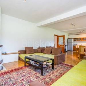 Ogulin, Plaški, Janja Gora, samostojeća kuća s prekrasnim pogledom