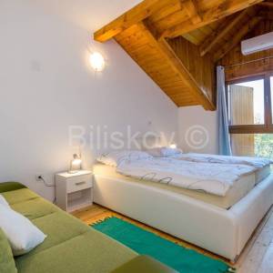 Ogulin, Plaški, Janja Gora, samostojeća kuća s prekrasnim pogledom