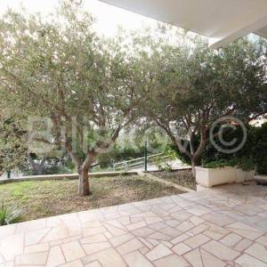 Omiš, Duće dvojna kuća, 4 stana, 300 m2 okućnice