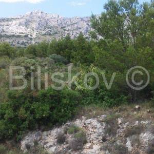 OMIŠ, NEMIRA 1500 m2 građevinsko zemljište