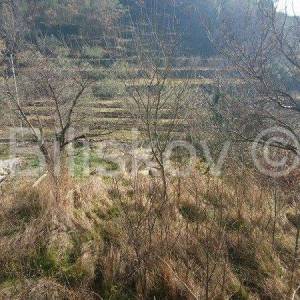 Omiš, Tugare,  2720 m2 od toga 300 m2 građevinsko