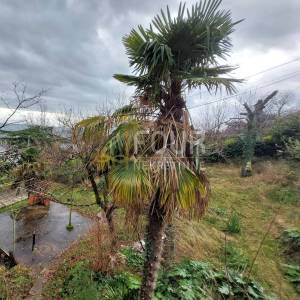 Opatija, etaža vile s terasom, veliki potencijal!