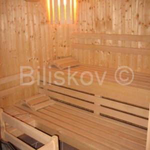 Opatija, luksuzno namještena i opremljena villa