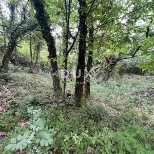 OPATIJA, MOŠĆENIČKA DRAGA – rekonstrukcija objekta