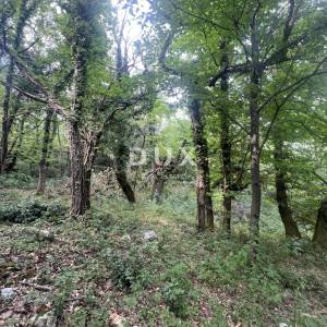 OPATIJA, MOŠĆENIČKA DRAGA – rekonstrukcija objekta