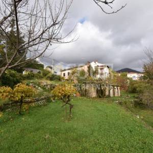 Opatija - Poljane, kamena starina s velikom okućnicom!