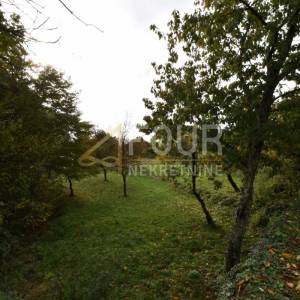 Opatija - Poljane, kamena starina s velikom okućnicom!