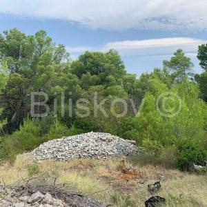 Otok Brač, Mirca - poljoprivredno zemljište