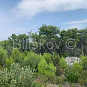 Otok Brač, Mirca - poljoprivredno zemljište