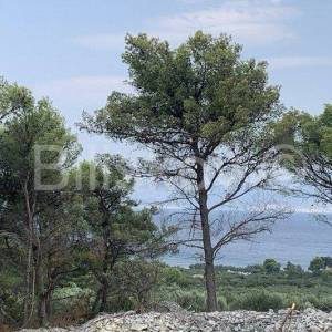 Otok Brač, Mirca - poljoprivredno zemljište