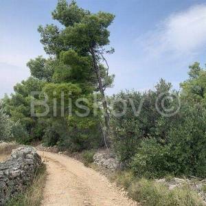 Otok Brač, Mirca - poljoprivredno zemljište