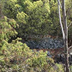 Otok Brač, Mirca - poloprivredno zemljište