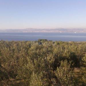 Otok Brač, Mirca - poloprivredno zemljište