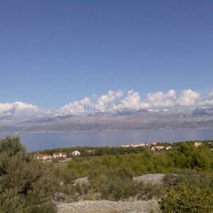 Otok Brač, Mirca - poloprivredno zemljište